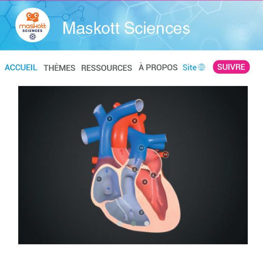 MASKOTT SCIENCES - SVT / PC / TECHNO - CYCLE 4